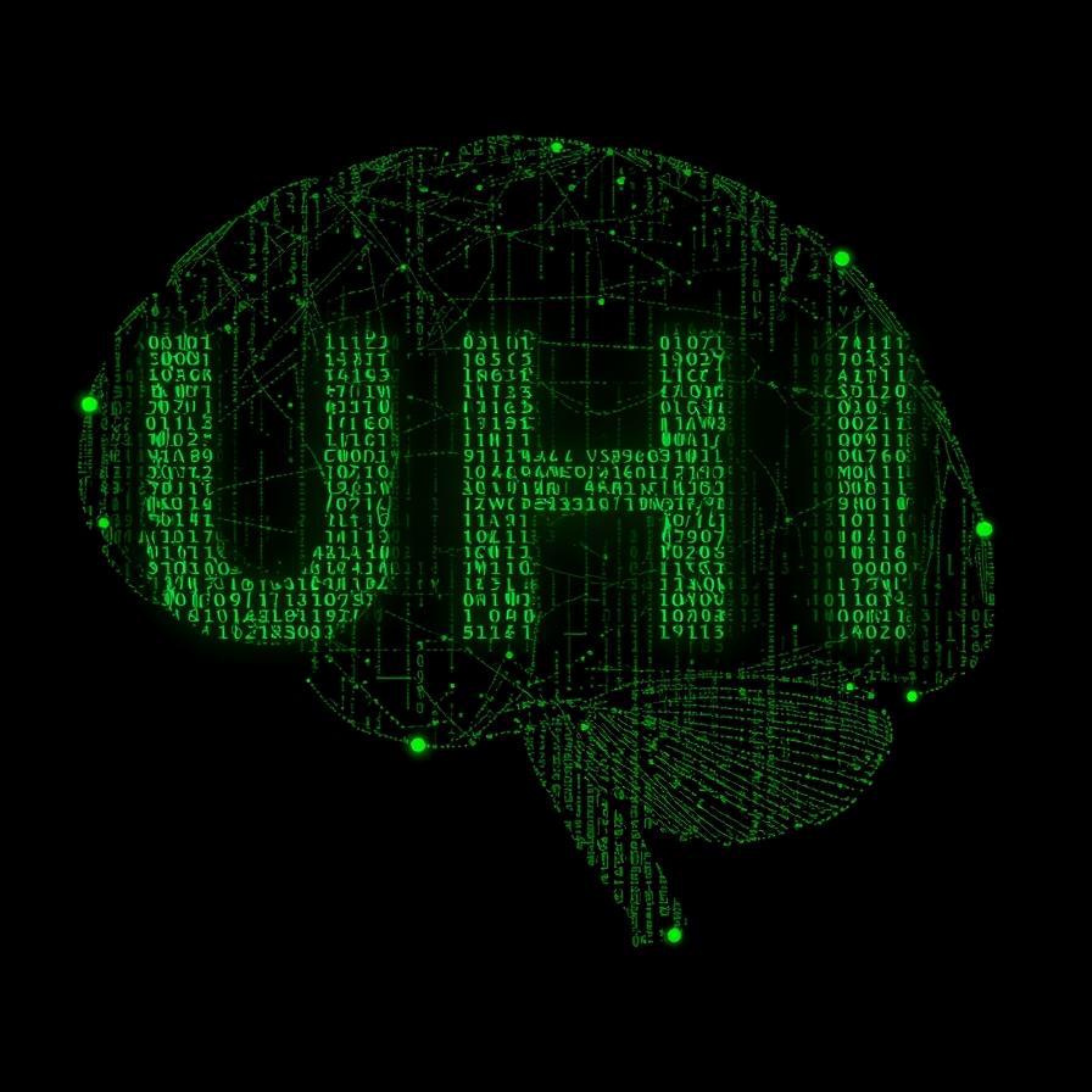 Unique Human Intelligence – circuit and brain